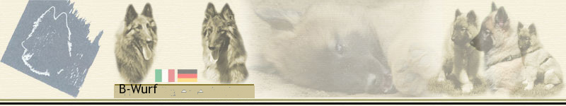 Banner_StartB-Test_braunt�ne